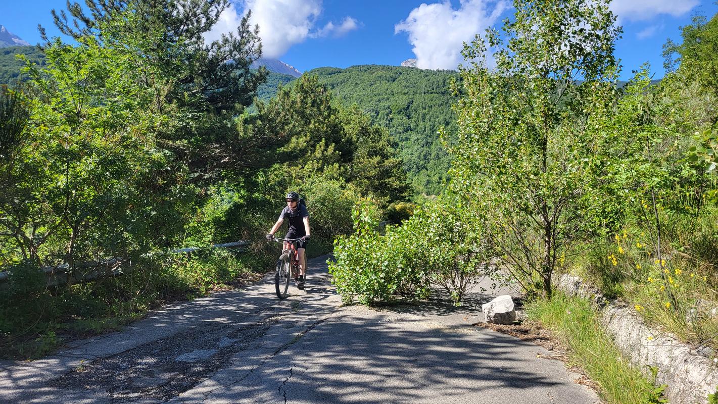 Natur holt Straße zurück