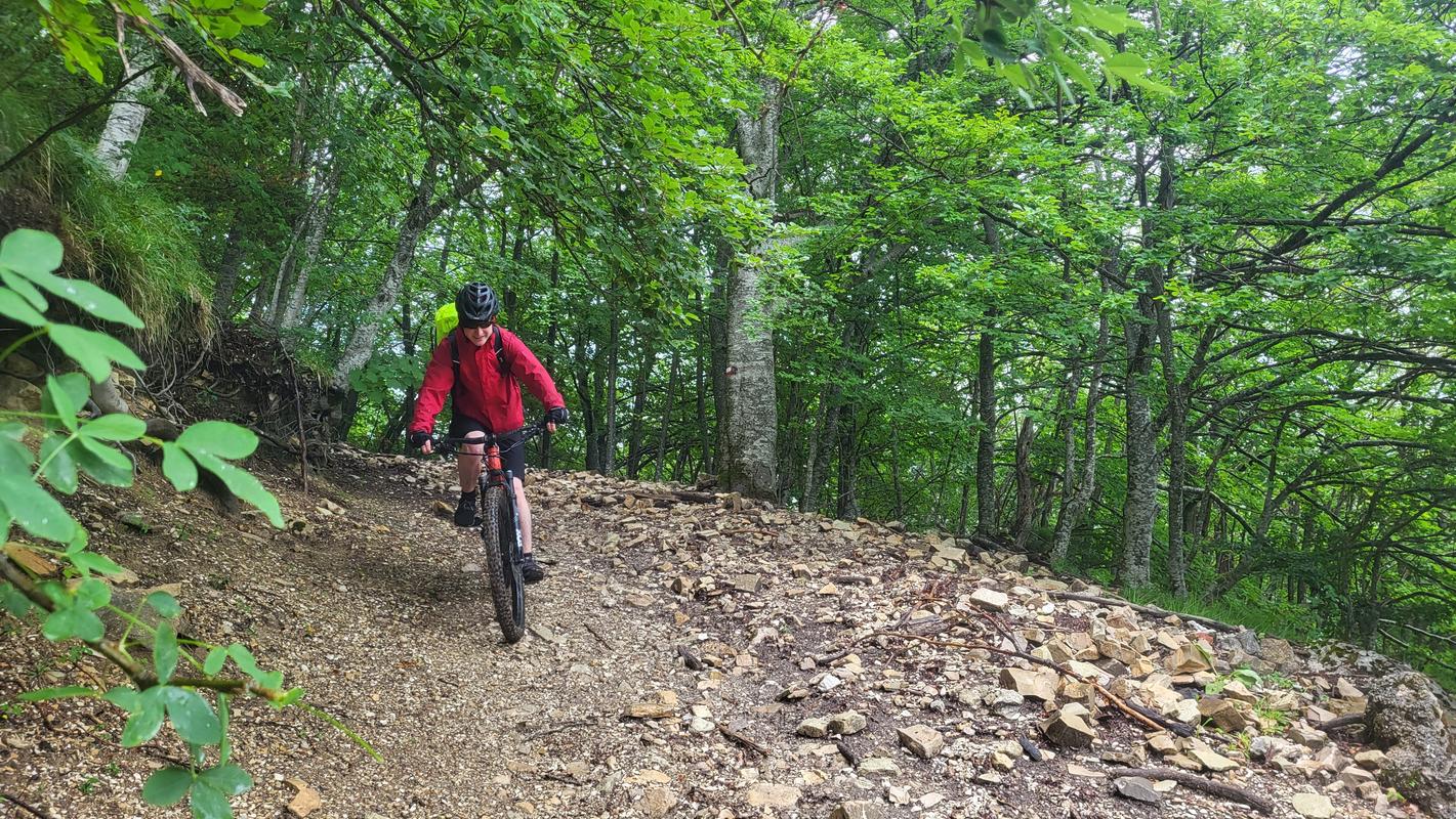 Passo Borghese, weiter unten im Wald