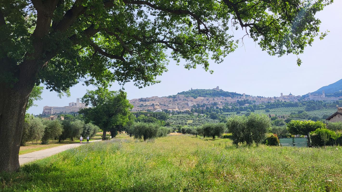 Assisi