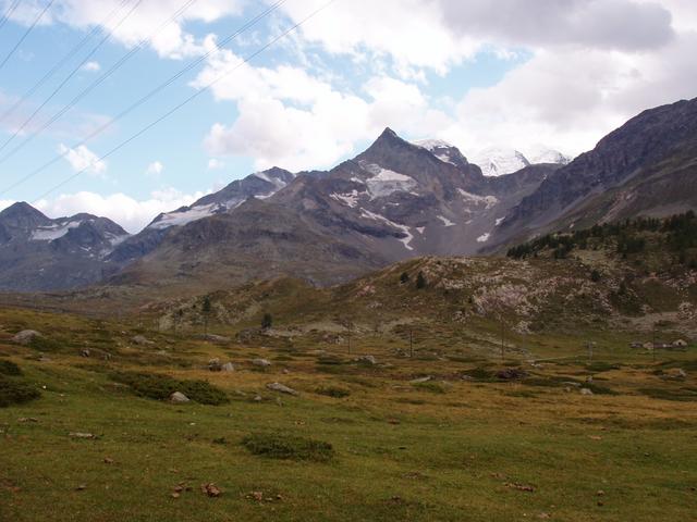Blick auf Piz Bernina (4049 m) und Piz Palü (3905 m)