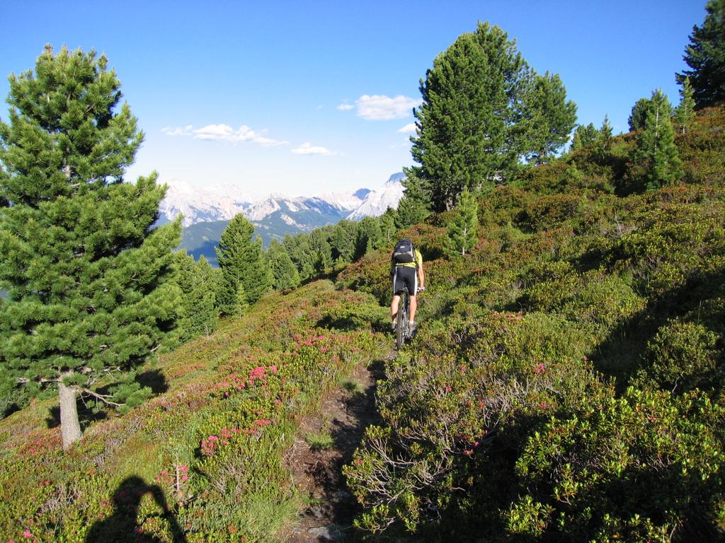 Trail am Maurer Berg