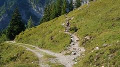 Piste und Trail zur Unteren Jochalm (1172&#160;m)