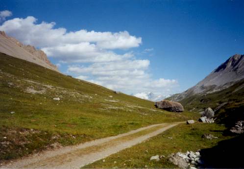 Am Passo Val Alpisella (2268 m)