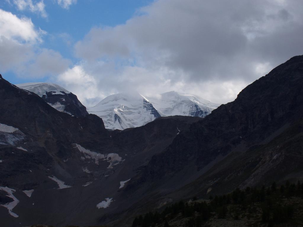 Blick auf Piz Bernina (4049m) und Piz Palü (3905m)