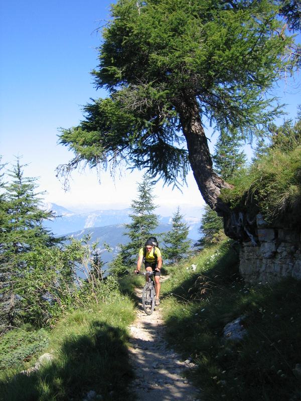 Trail zum Monte Maggio